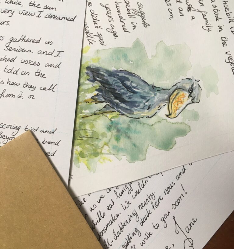 A pile of letters with a shoebill illustration showing